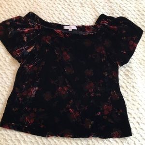 Loft‎ velvet floral blouse size medium c66